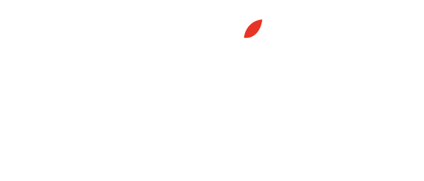 开润股份 KORRUN